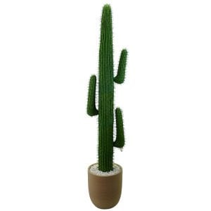 Kaktüs Ağacı 40x200cm