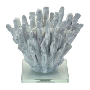 Mercan Beyaz 13x15cm