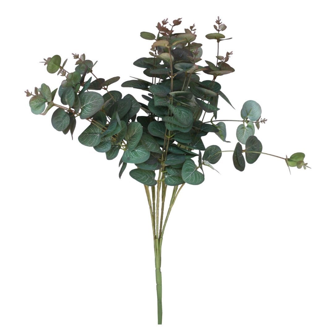 Okaliptus Pastel 40x50cm