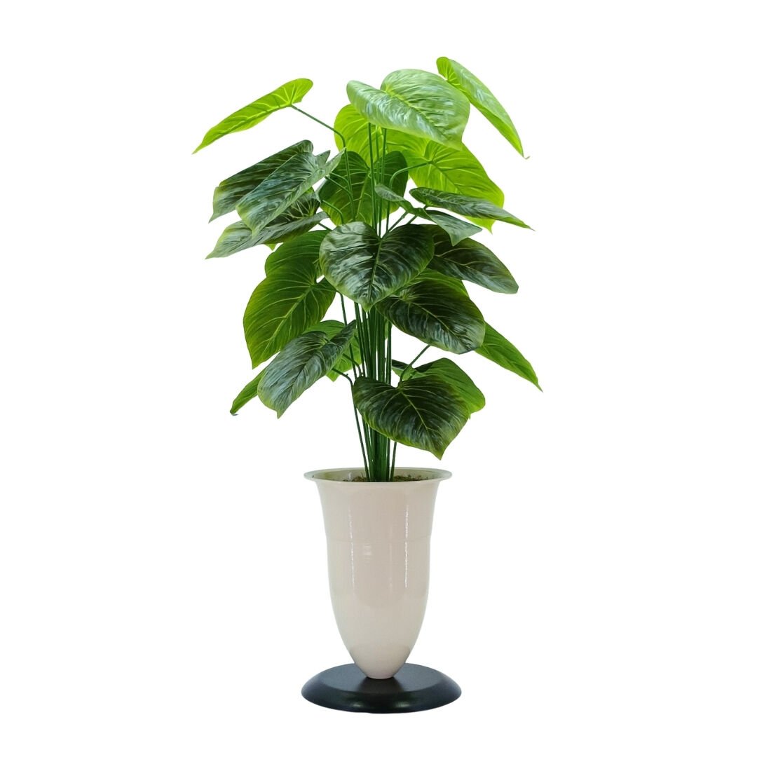 Saksılı Bitki 50x110cm