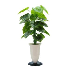 Saksılı Bitki 50x110cm