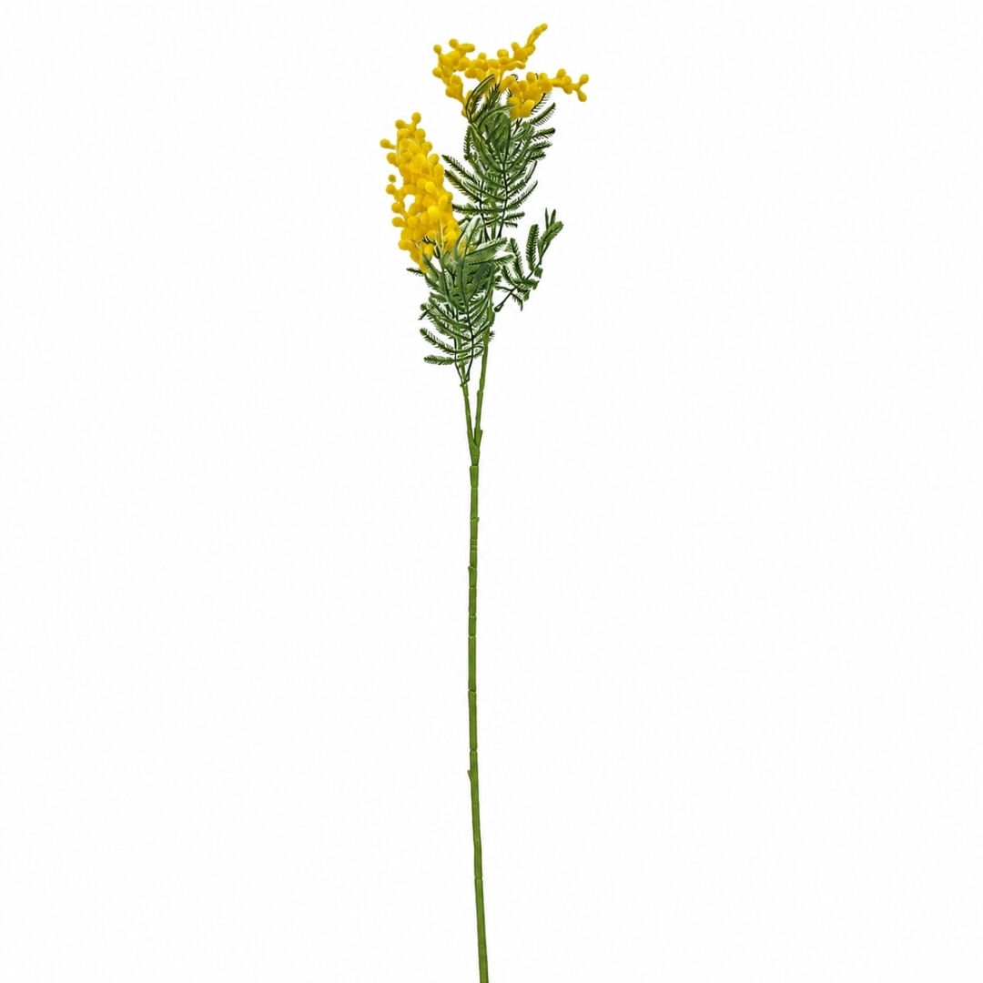 Sarı Mimoza 80cm