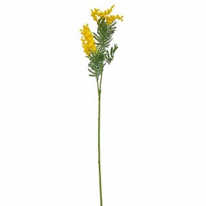Sarı Mimoza 80cm