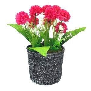 Saksıda Karanfil 22x27cm