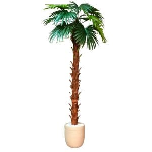 Palmiye Ağaç 110x240cm