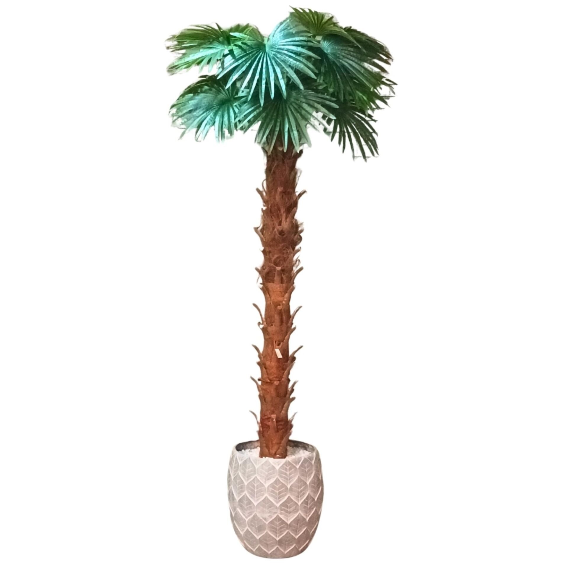 Palmiye Ağaç 120x280cm