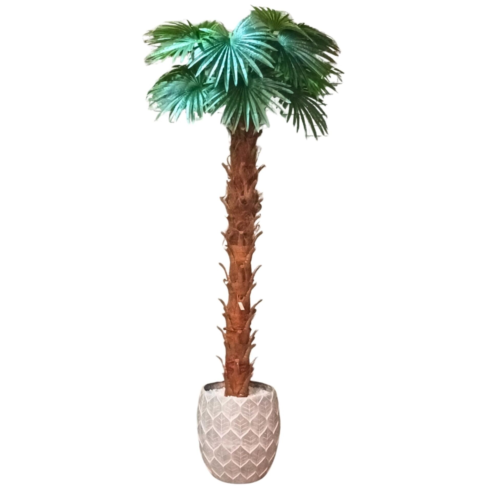 Palmiye Ağaç 120x280cm