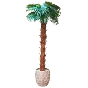 Palmiye Ağaç 120x280cm