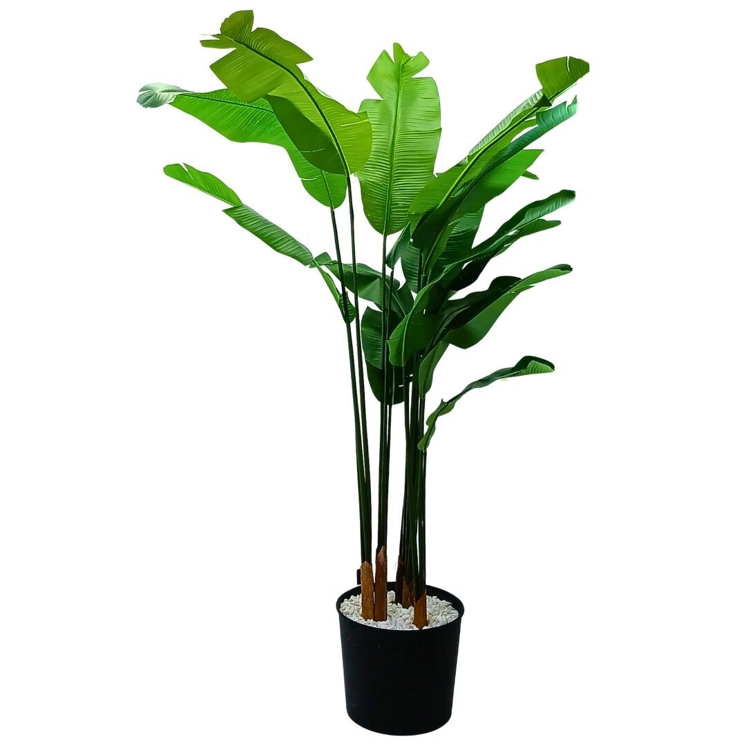 Muz Ağacı 120x200cm