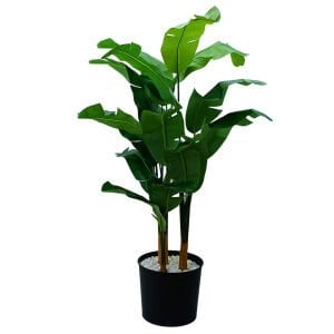 Muz Ağacı 120x170cm