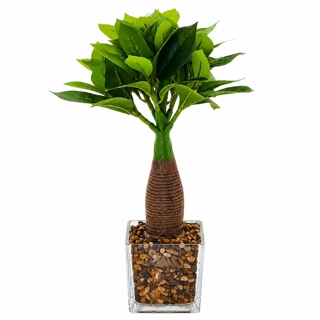 Cam Saksılı Bitki 25x40cm