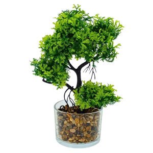 Cam Saksılı Bitki 20x30cm