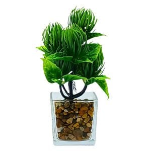 Cam Saksılı Bitki 12x22cm