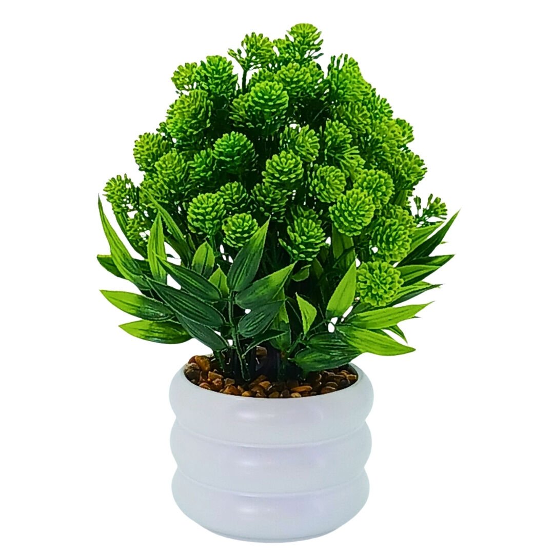 Saksılı Bitki 22x30cm