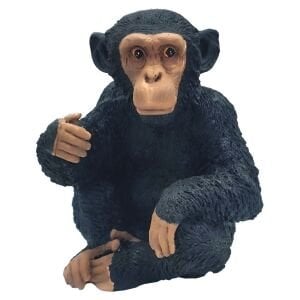 Küçük Şempanze 22x27cm