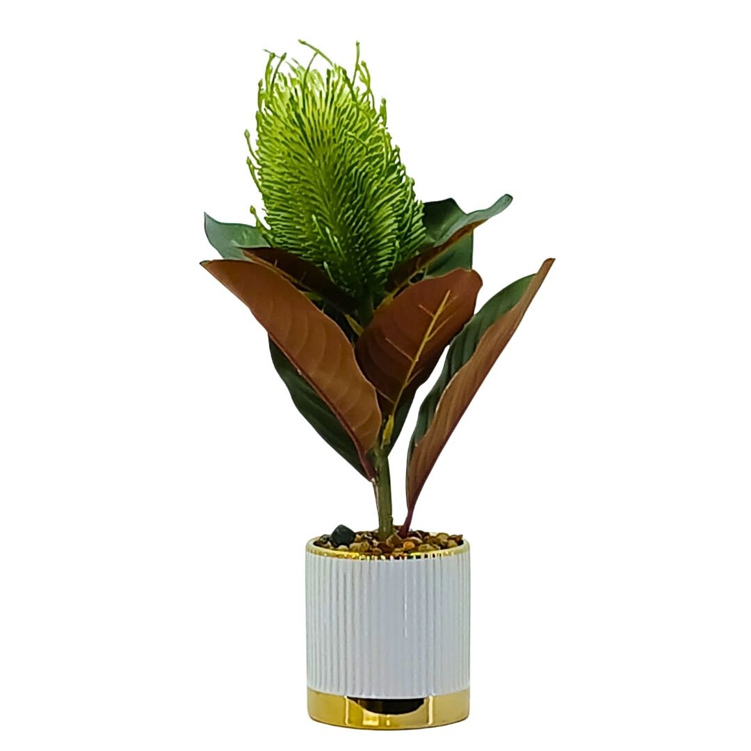 Saksılı Bitki 20x37cm