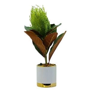 Saksılı Bitki 20x37cm