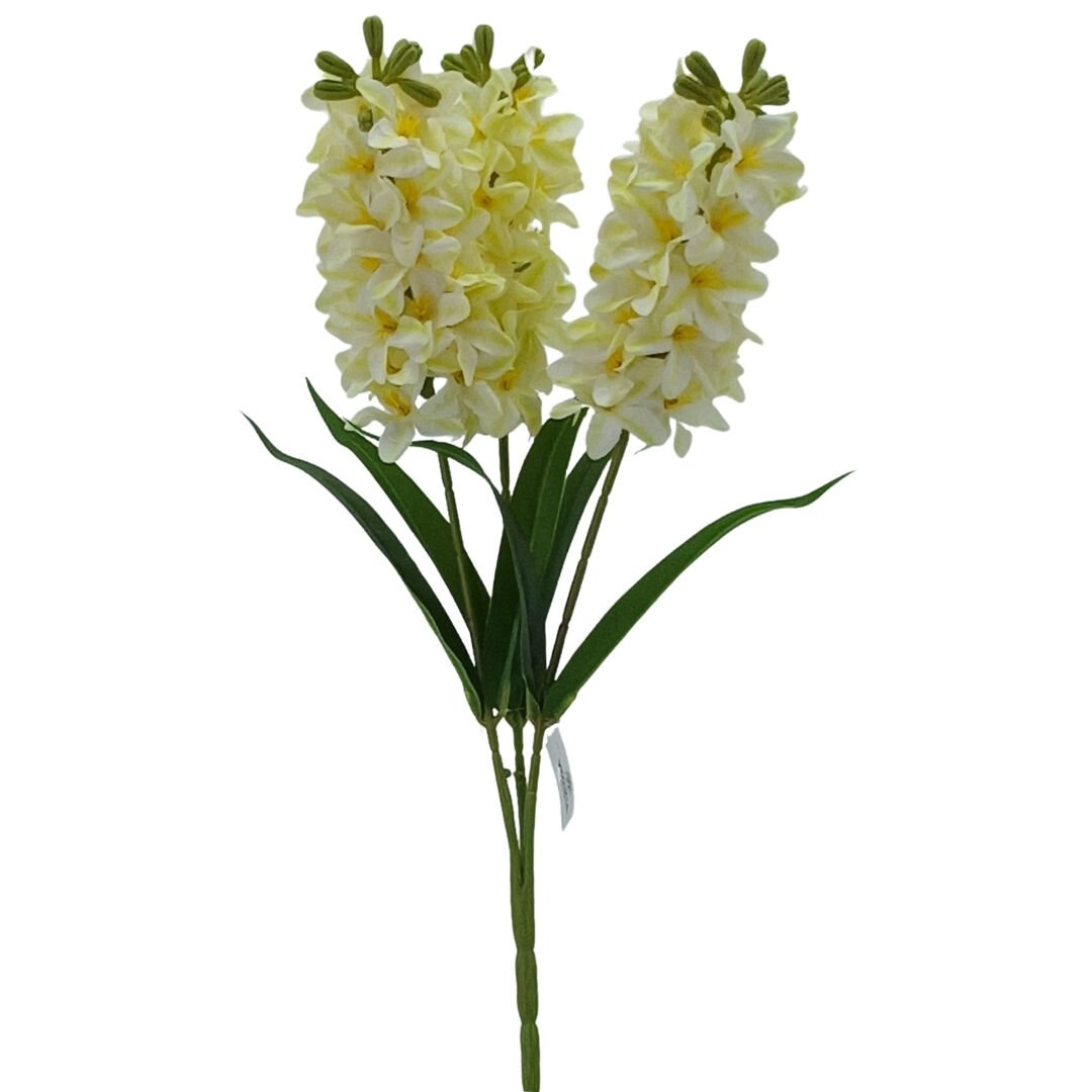 Sümbül Beyaz 50cm
