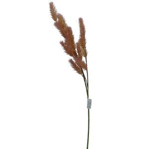 Diken Demet Mürdüm 64cm