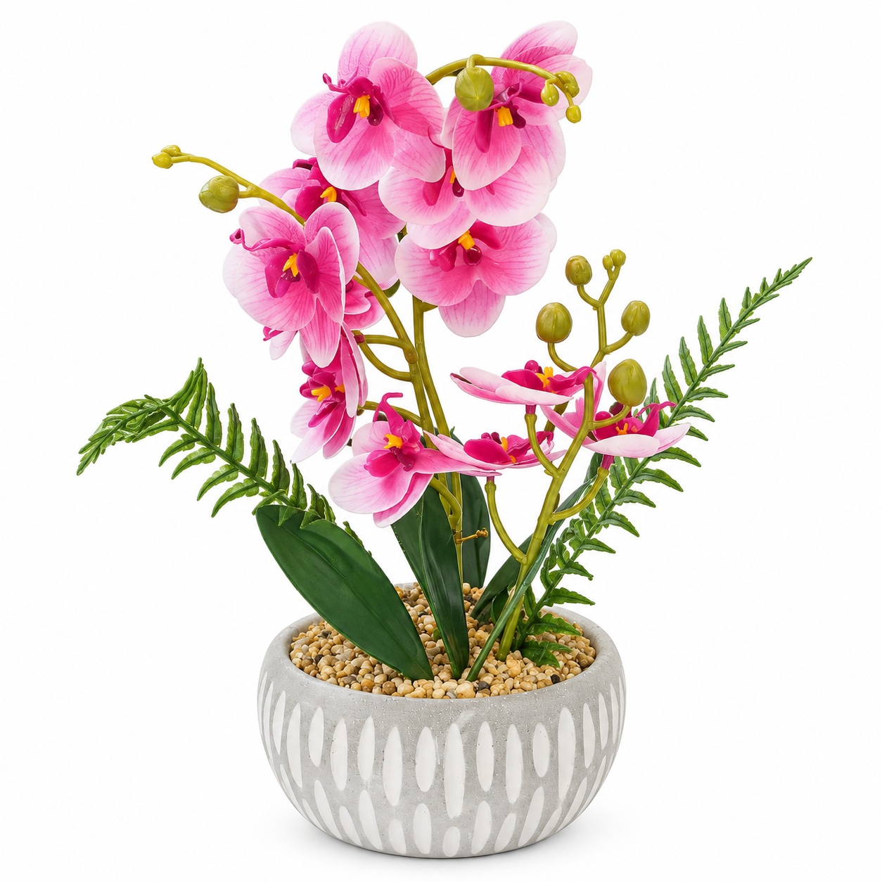Saksılı Orkide 20x35cm