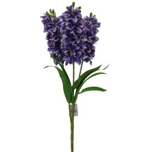 Sümbül Mavi 50cm