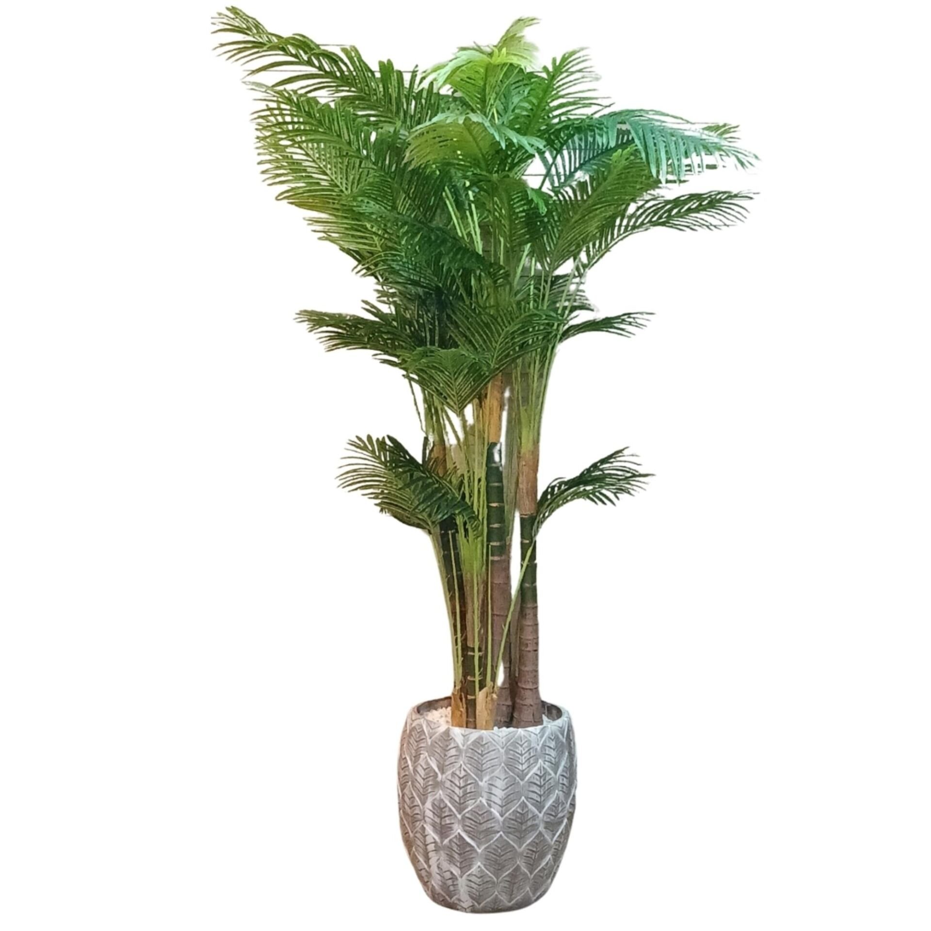 Areka Ağaç 150x250cm