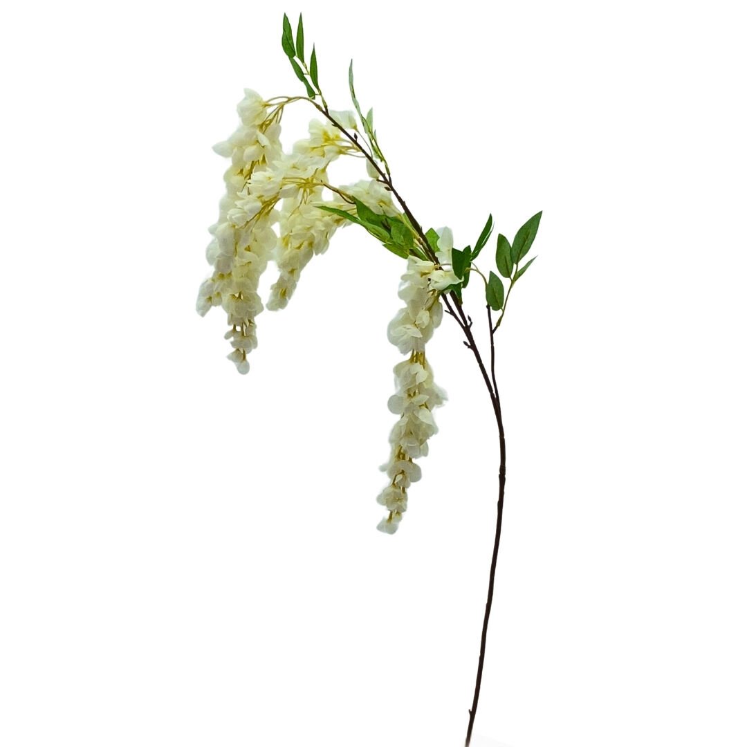 Sümbül Beyaz 117cm