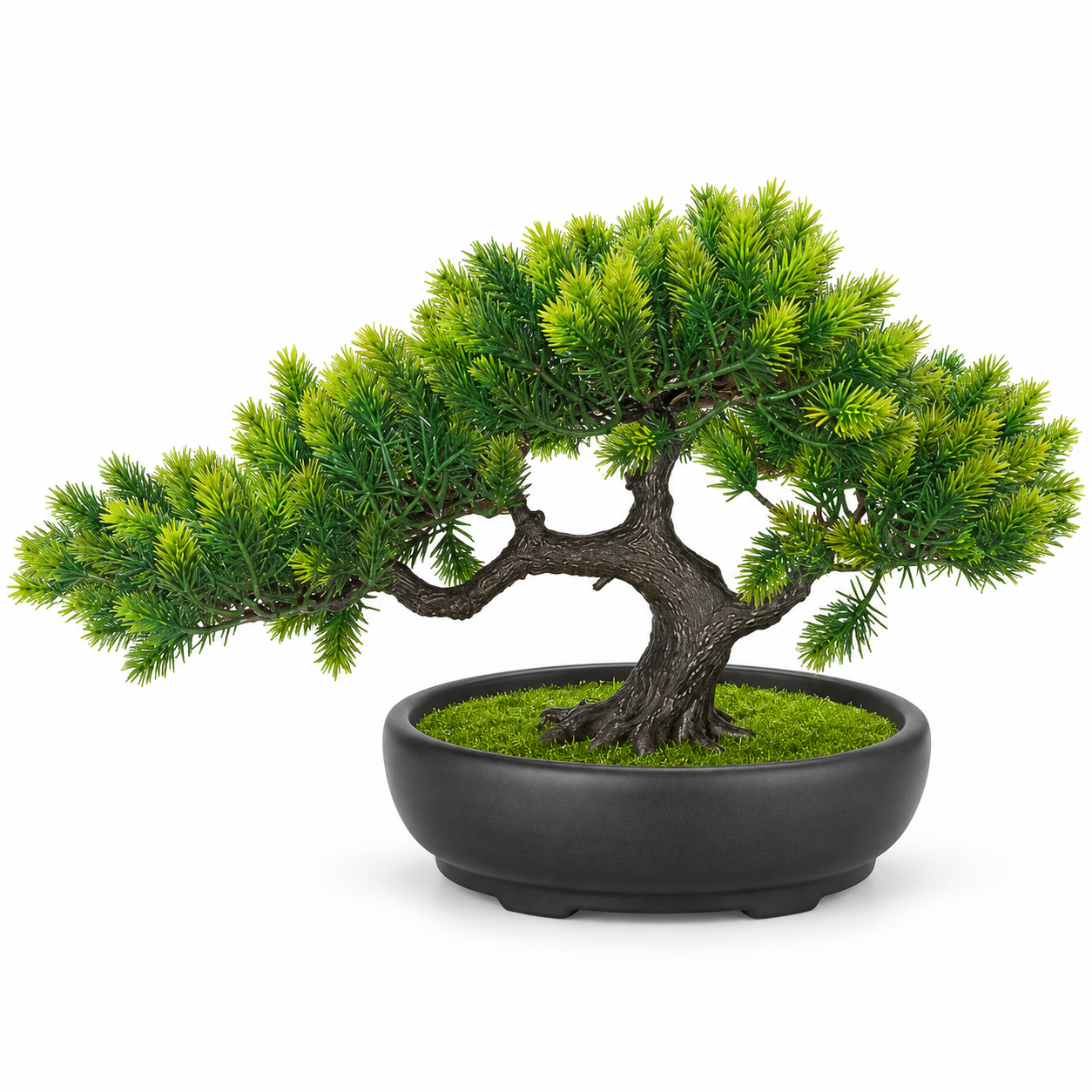 Saksılı Bonzai 23x35cm