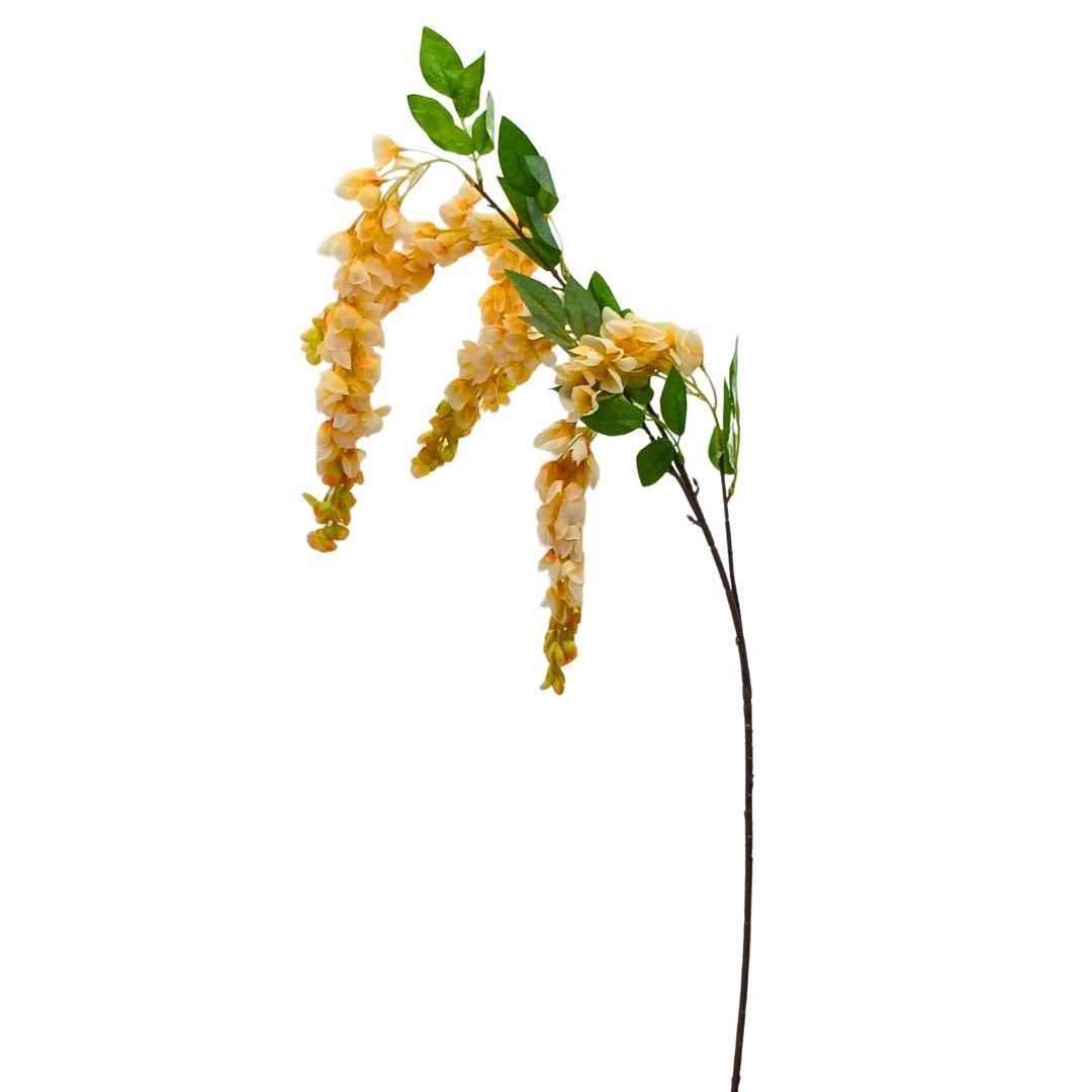 Sümbül Yavruağzı 117cm