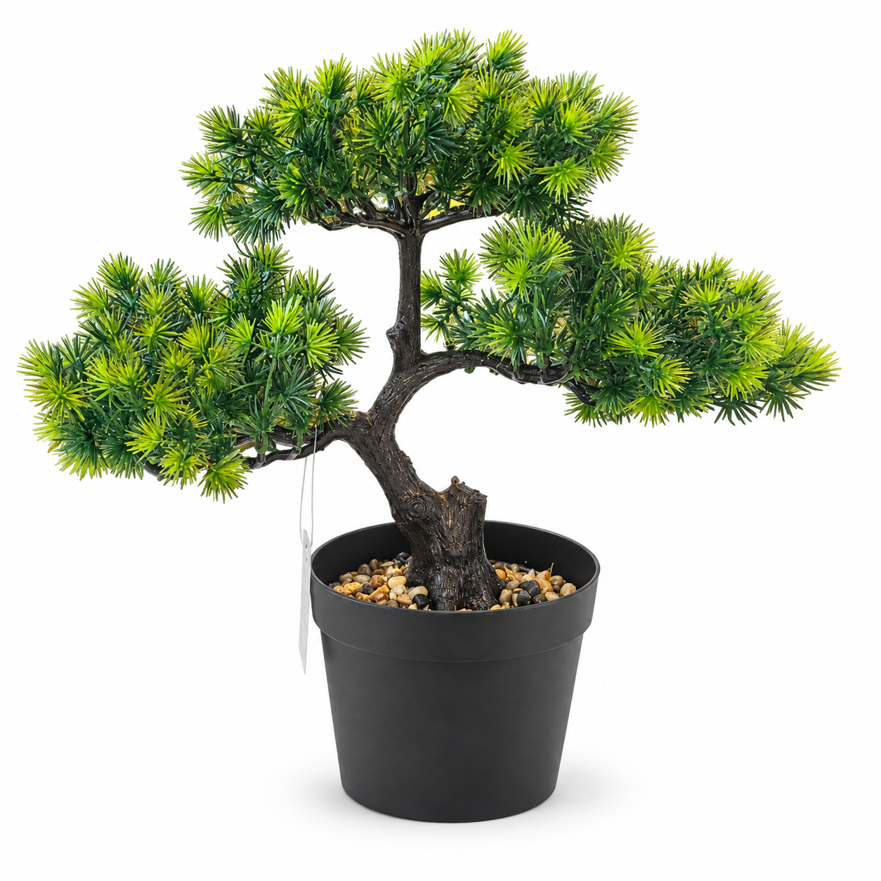 Saksılı Bonzai 27x30cm