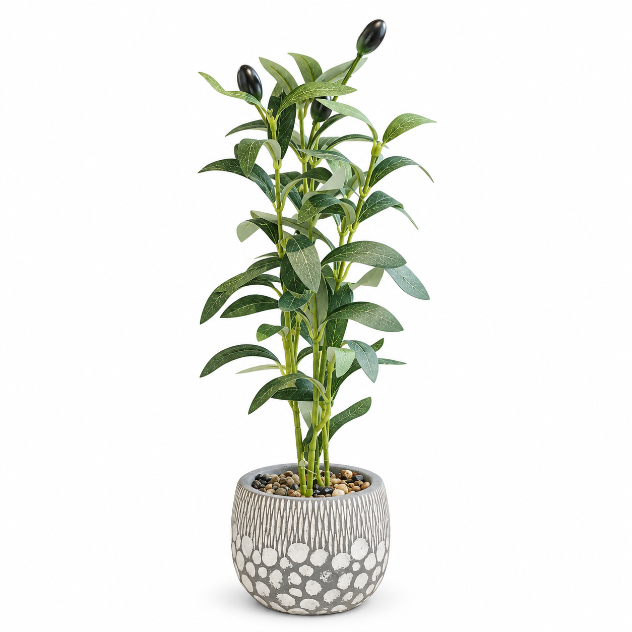 Saksılı Zeytin 10x40cm