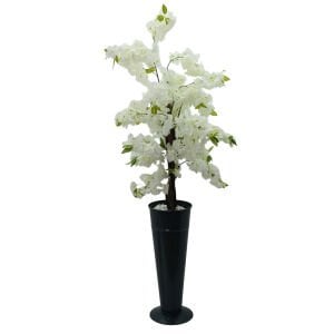 Bahar Dalı Ağaç Beyaz 60x160cm