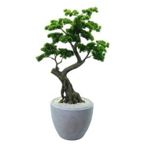 Bonzai Ağaç 90x180cm