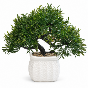 Saksılı Bonzai 30x33cm