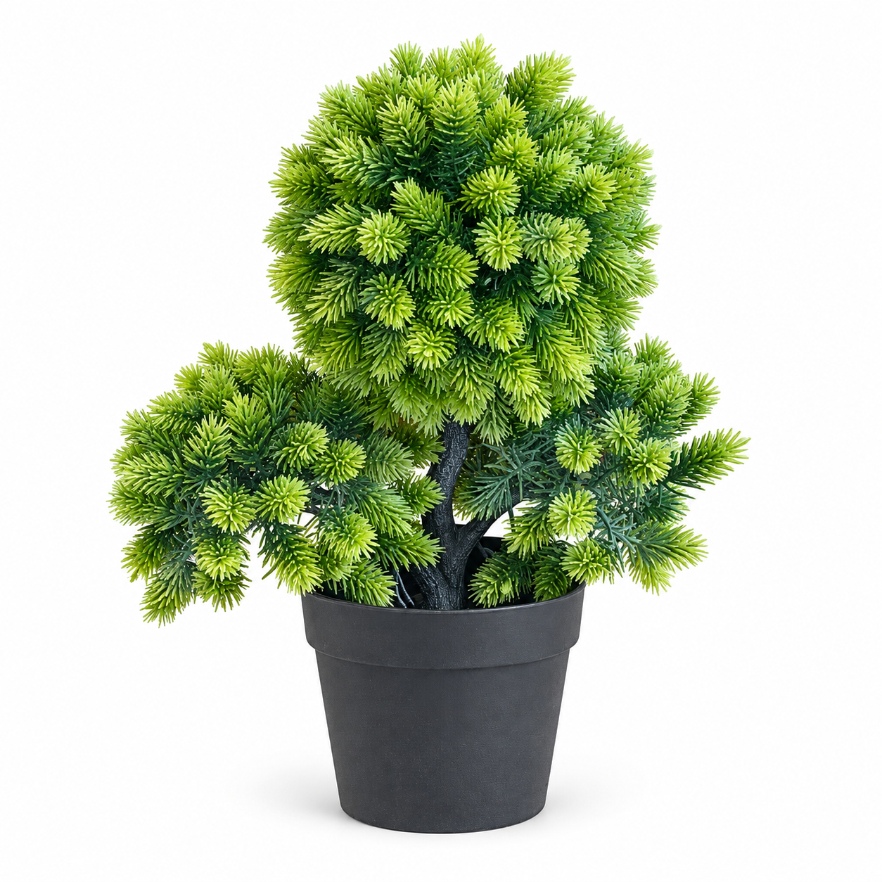 Saksılı Bonzai 22x27cm