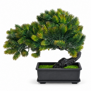 Saksılı Bonzai 19x21m