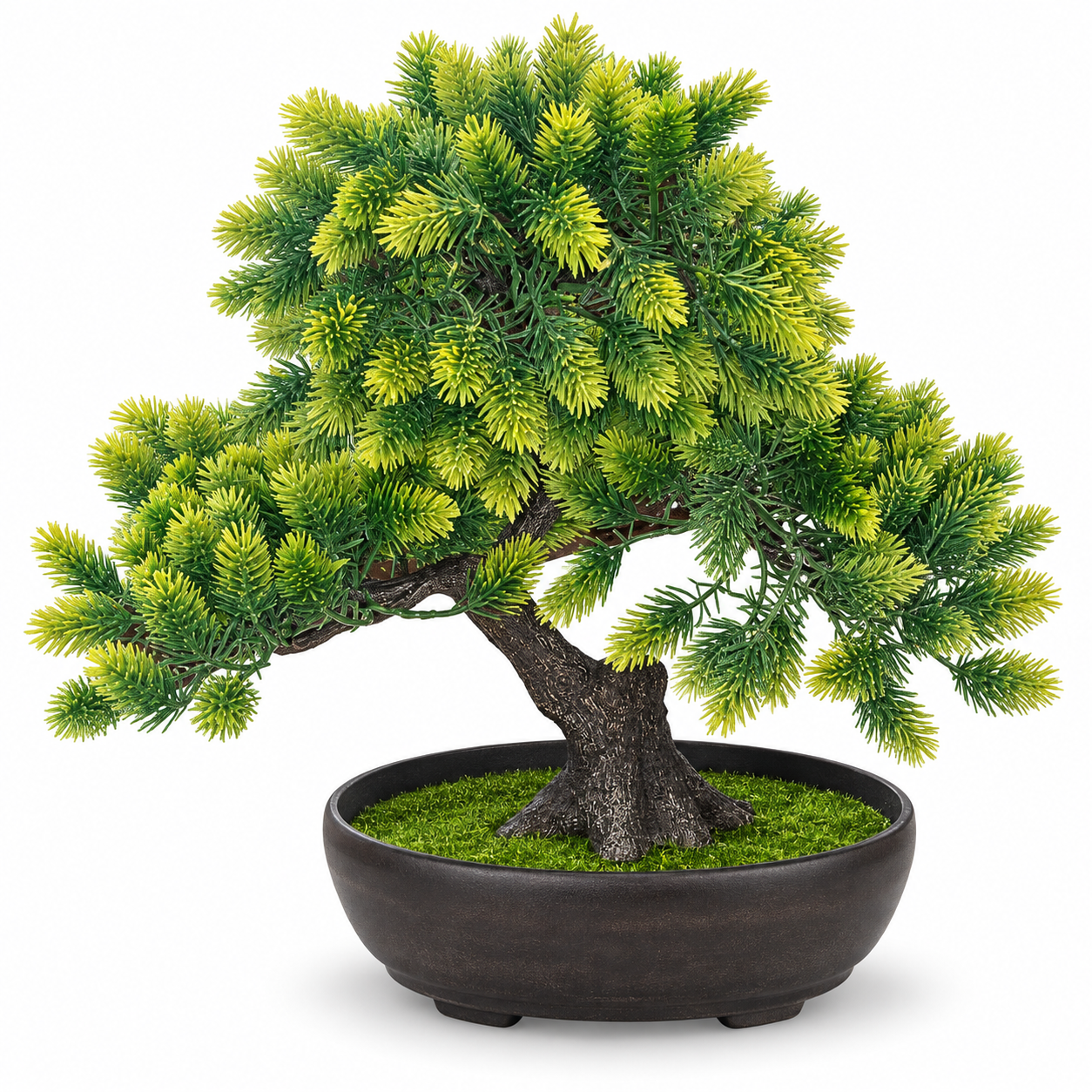 Saksılı Bonzai 25x27cm