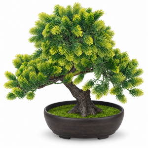 Saksılı Bonzai 25x27cm