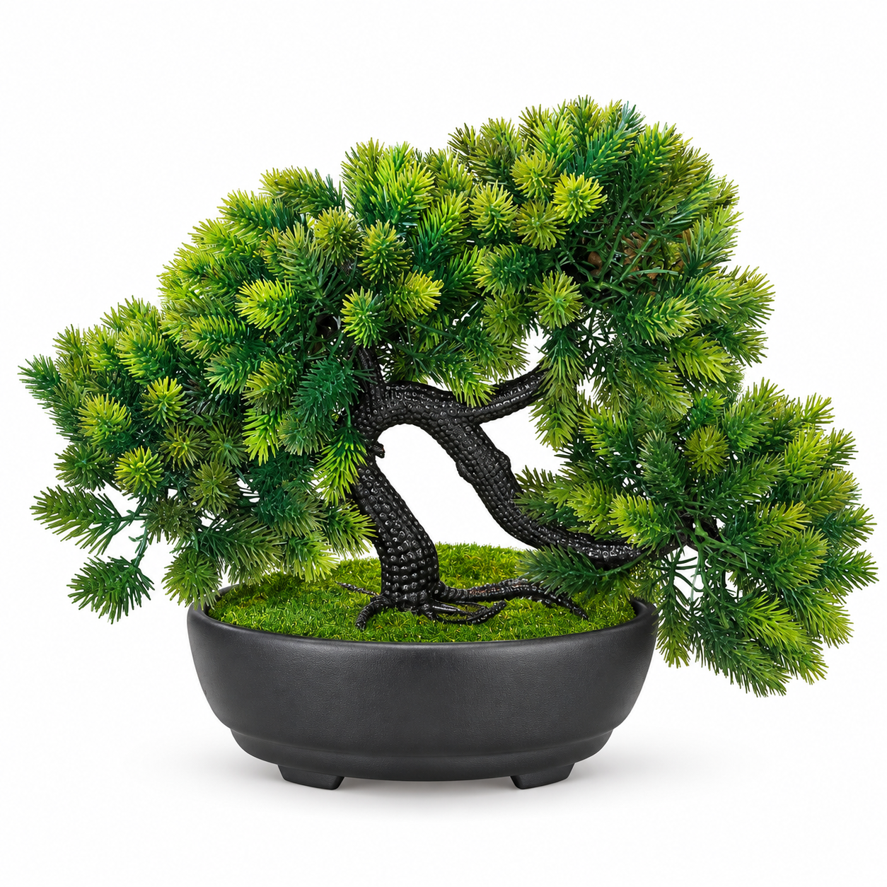 Saksılı Bonzai 21x29cm