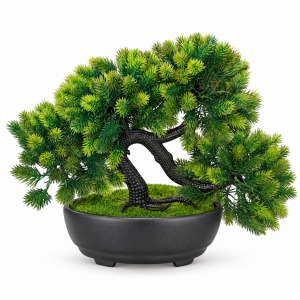 Saksılı Bonzai 21x29cm