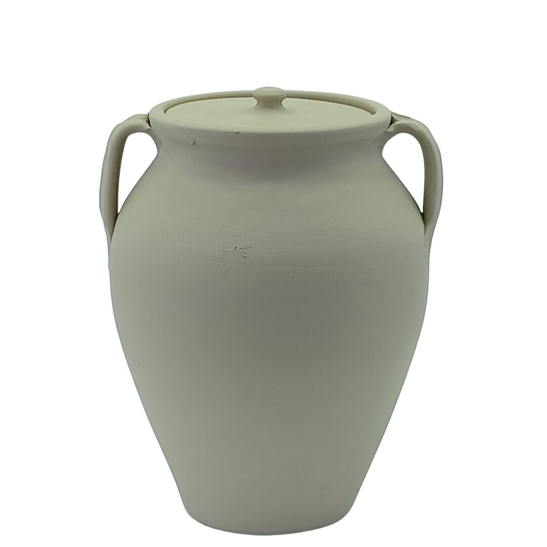 Arajman Bitki  Küp Ladin 25x31cm