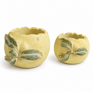 2li Set Dekoratif Ayva Obje 13x24cm