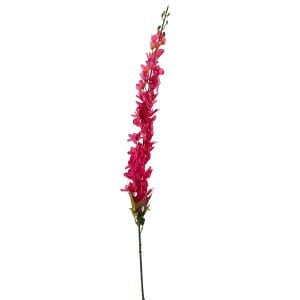 Şebboy Fuşya 120cm
