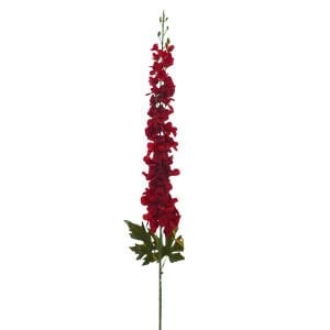 Şebboy Kırmızı 120cm
