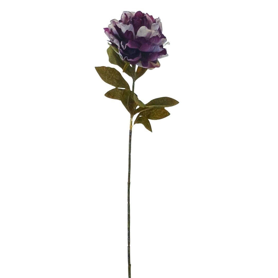 Şakayık Mor 70cm
