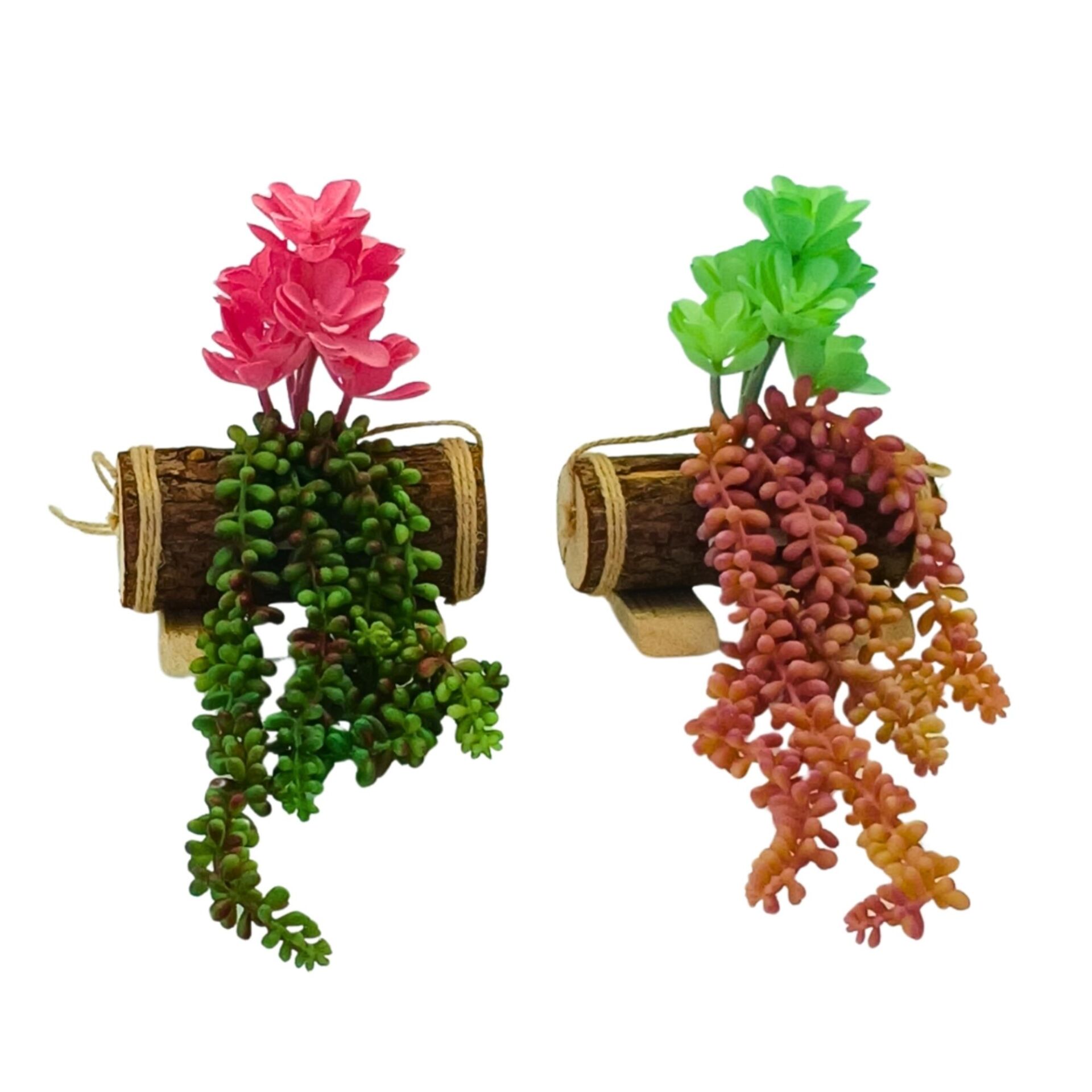 2li Set Kaktüs Aranjman 30x35cm