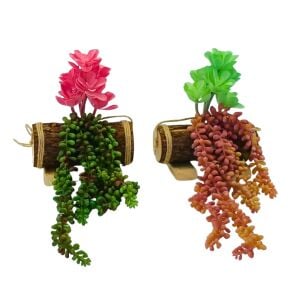 2li Set Kaktüs Aranjman 30x35cm