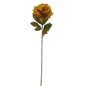 Şakayık Sarı 70cm