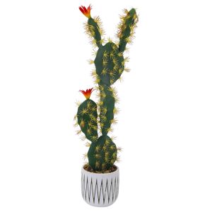 Saksılı Kaktüs 14x70cm