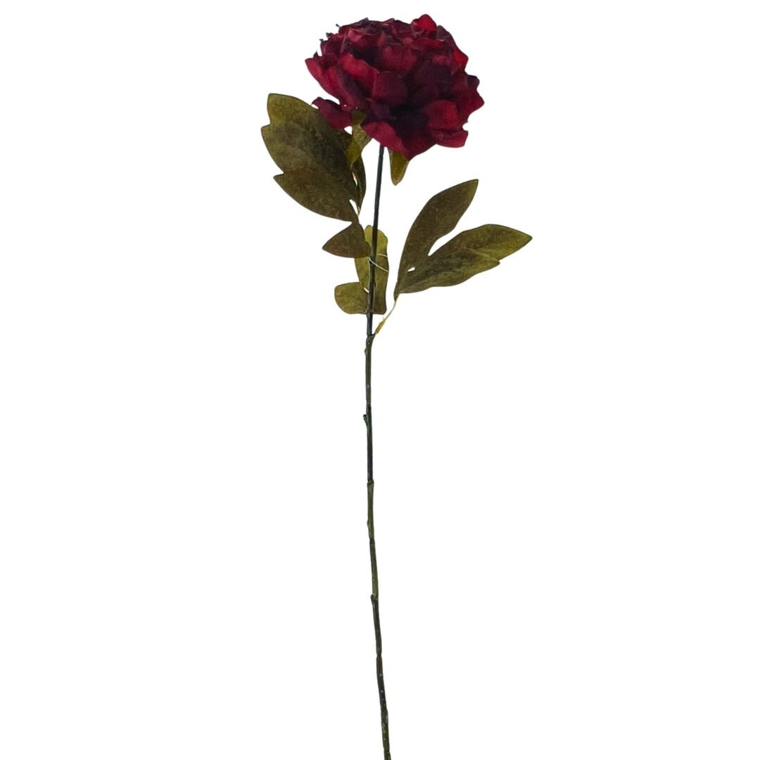 Şakayık Kırmızı 70cm